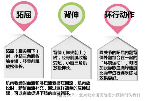 踝泵运动操作流程_踝泵运动的方法_踝泵运动原理视频